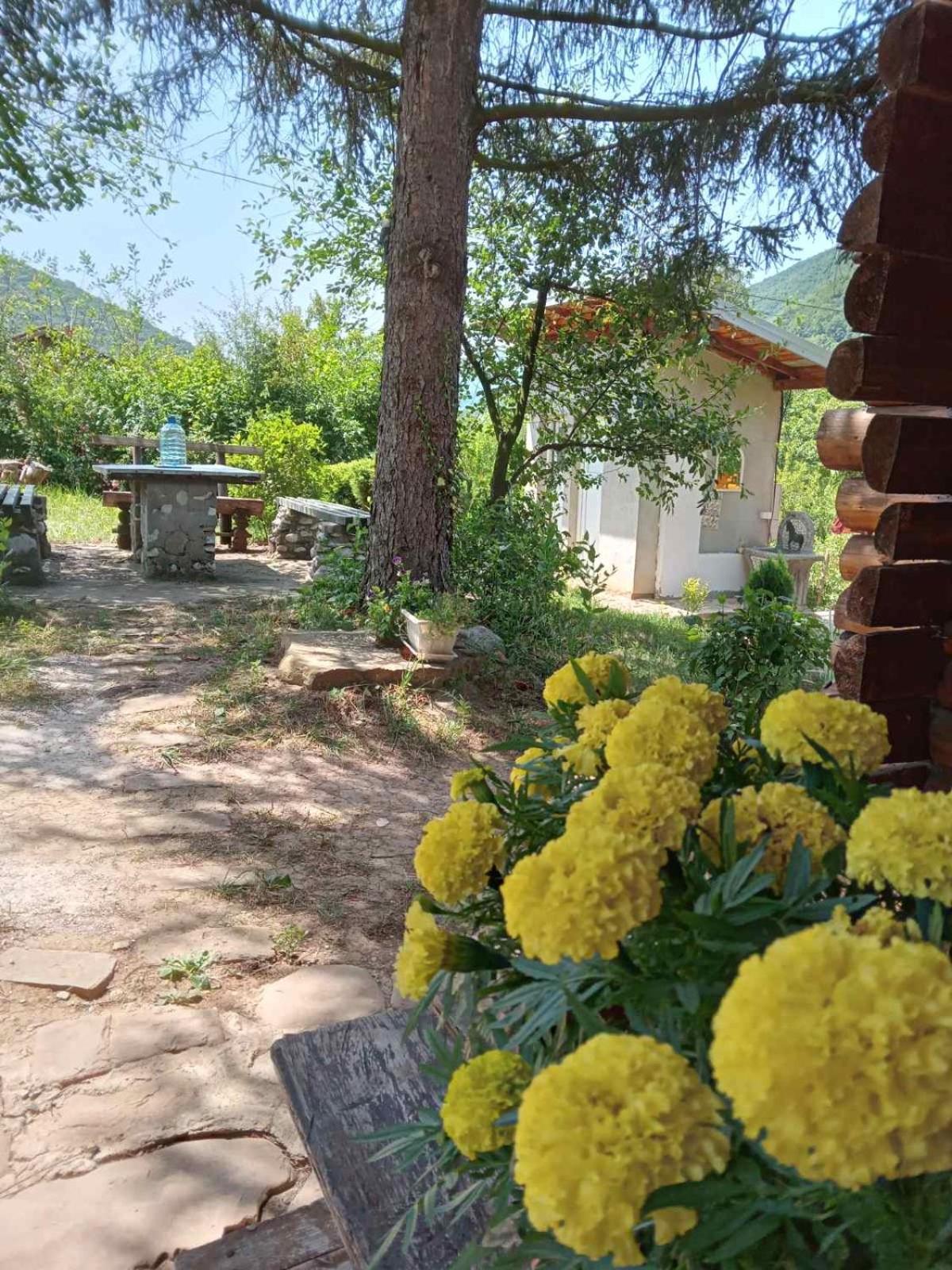 Piramida Mjeseca Visoko Exterior foto